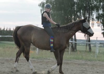 oboz-konie-2016-1-6-0172