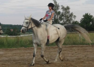oboz-konie-2016-1-6-0177