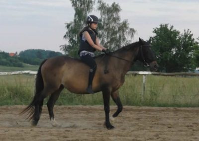 oboz-konie-2016-1-6-0181