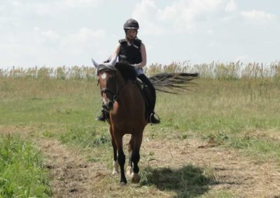 oboz-konie-2016-1-7-0006