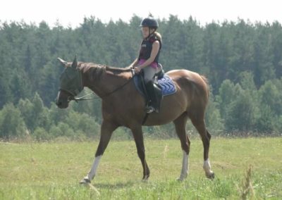oboz-konie-2016-1-7-0015