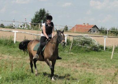 oboz-konie-2016-1-7-0034