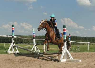 oboz-konie-2016-1-7-0093
