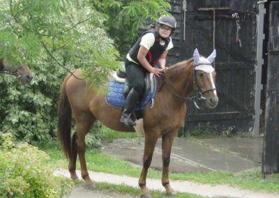 oboz-konie-2016-2-1-0003