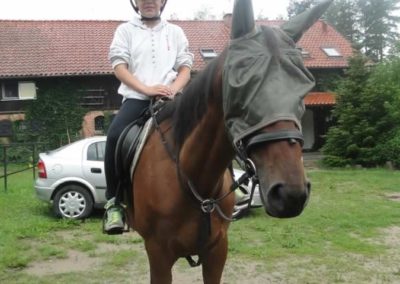 oboz-konie-2016-2-1-0007