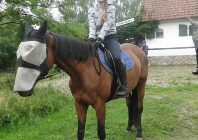 oboz-konie-2016-2-1-0008