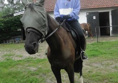 oboz-konie-2016-2-1-0009