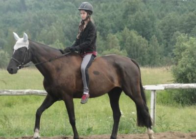 oboz-konie-2016-2-1-0023