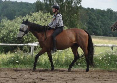 oboz-konie-2016-2-1-0033