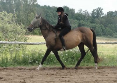 oboz-konie-2016-2-1-0034