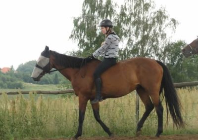 oboz-konie-2016-2-1-0044