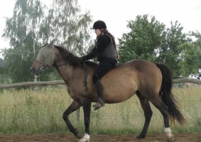 oboz-konie-2016-2-1-0053
