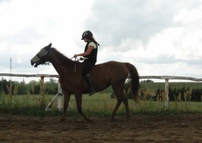 oboz-konie-2016-2-1-0059