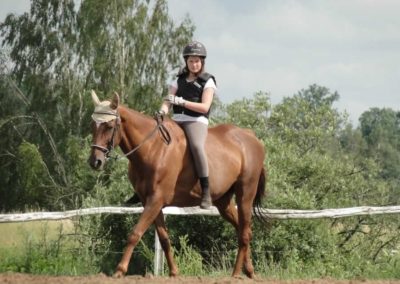 oboz-konie-2016-2-1-0062