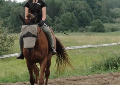 oboz-konie-2016-2-1-0082