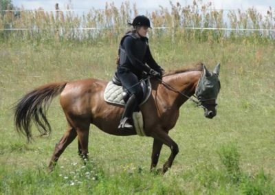 oboz-konie-2016-2-2-0021