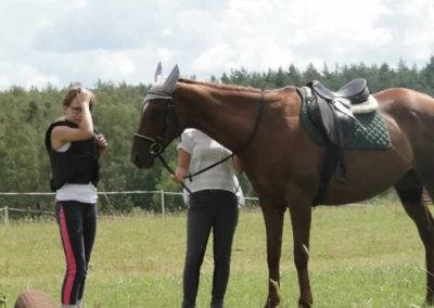 oboz-konie-2016-2-2-0045