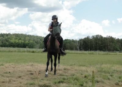 oboz-konie-2016-2-2-0064
