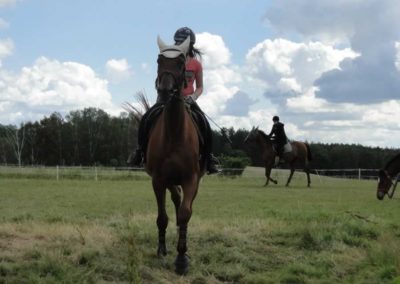 oboz-konie-2016-2-2-0071
