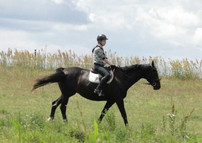 oboz-konie-2016-2-2-0115