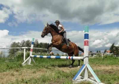 oboz-konie-2016-2-2-0139