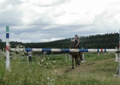 oboz-konie-2016-2-2-0161
