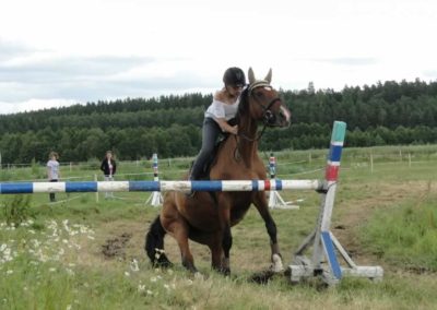 oboz-konie-2016-2-2-0162
