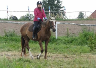 oboz-konie-2016-2-2-0188