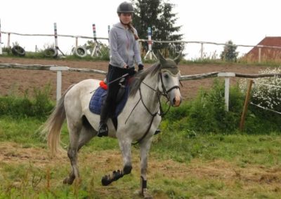 oboz-konie-2016-2-2-0211