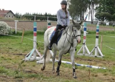 oboz-konie-2016-2-2-0223