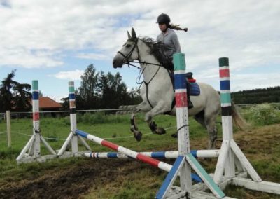oboz-konie-2016-2-2-0275