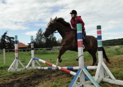 oboz-konie-2016-2-2-0276