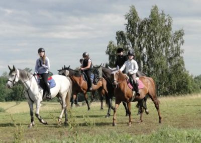 oboz-konie-2016-2-2-0277