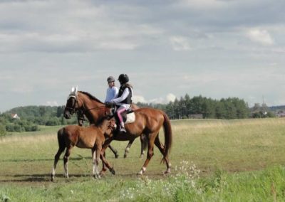 oboz-konie-2016-2-2-0278