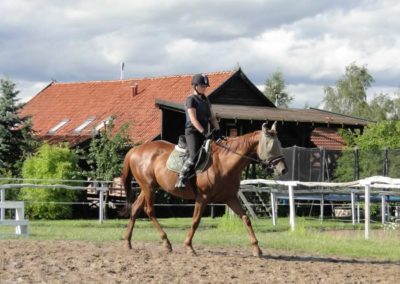 oboz-konie-2016-2-2-0293