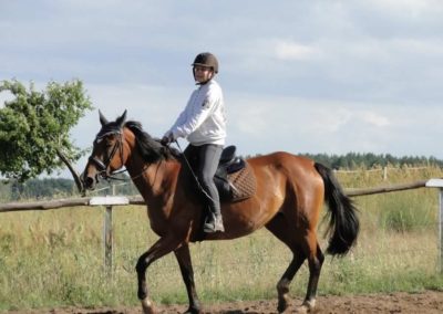 oboz-konie-2016-2-2-0296