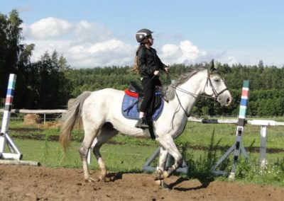 oboz-konie-2016-2-2-0299
