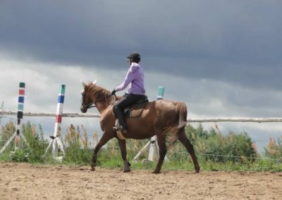 oboz-konie-2016-2-4-0044