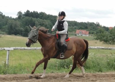 oboz-konie-2016-2-4-0062