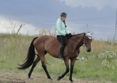 oboz-konie-2016-2-4-0124