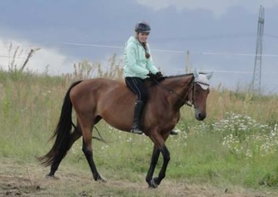 oboz-konie-2016-2-4-0125