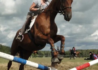 oboz-konie-2016-2-5-0360