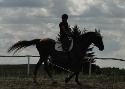 oboz-konie-2016-2-5-0387