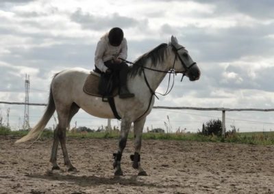 oboz-konie-2016-2-5-0390