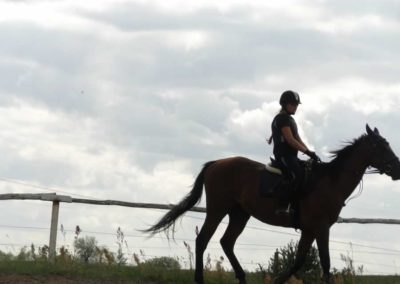 oboz-konie-2016-2-5-0403
