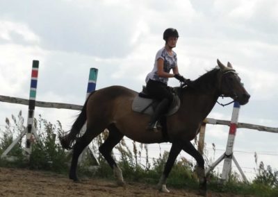 oboz-konie-2016-2-5-0405