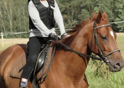 oboz-konie-2016-2-5-0451