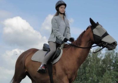oboz-konie-2016-2-6-0002