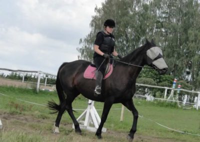 oboz-konie-2016-2-6-0005