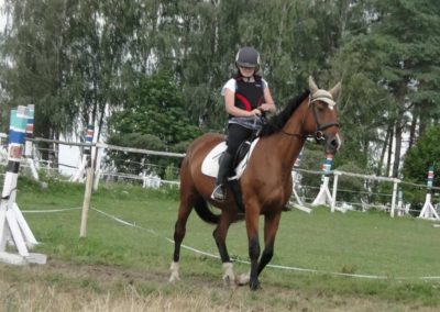 oboz-konie-2016-2-6-0006